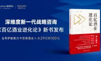 深維度戰略咨詢：從29億到100億，企業做對了什么？