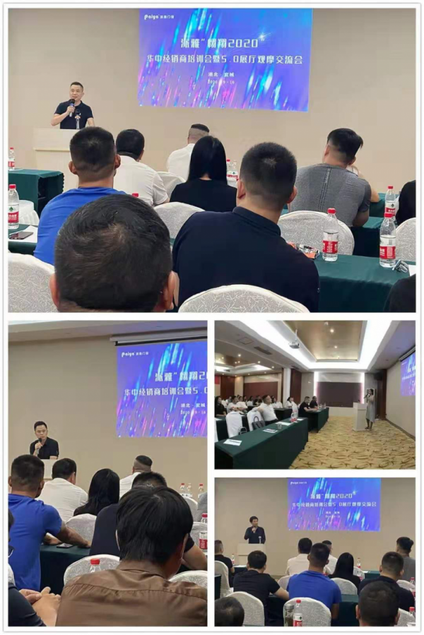 門窗十大品牌派雅門窗：奮斗的2020，一起翱翔！