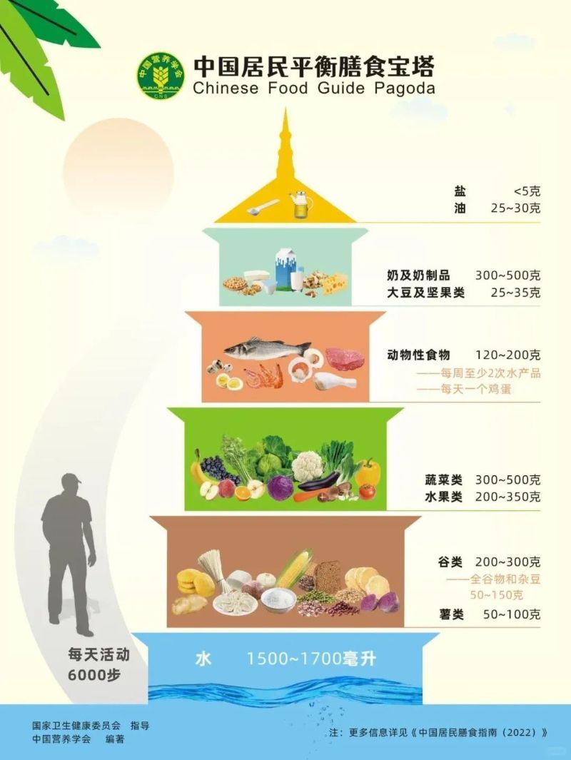 膳食寶塔.jpg