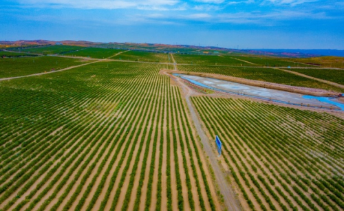 杞出：將大自然一切美好完整呈現(xiàn)給您