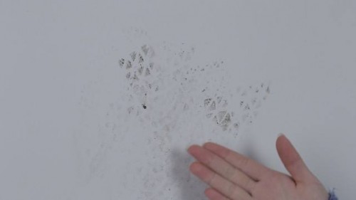 墻面污漬克星&mdash;&mdash;德國赫威都肯防污涂料