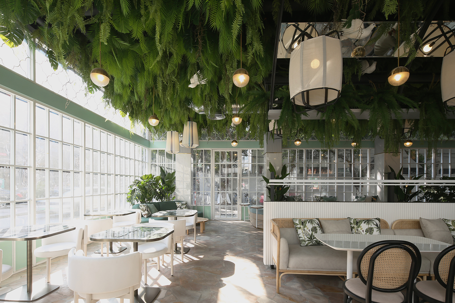 廣東人的驕傲，女王也愛的英德紅茶，100杯免費喝