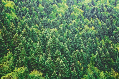 澳思柏恩：引進德國工業4.0智造設備，鑄造環保板材