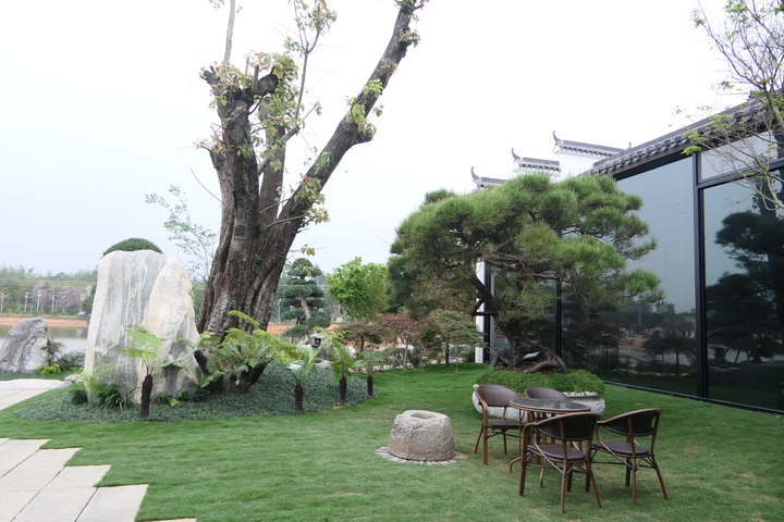 送服務(wù)！清遠(yuǎn)高新稅務(wù)助力重點(diǎn)鄉(xiāng)村振興樣板區(qū)建設(shè)