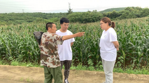 跟黨走 共奮進｜藝術學院學生黨支部紅色實踐團：紅色筑夢鄉村振興