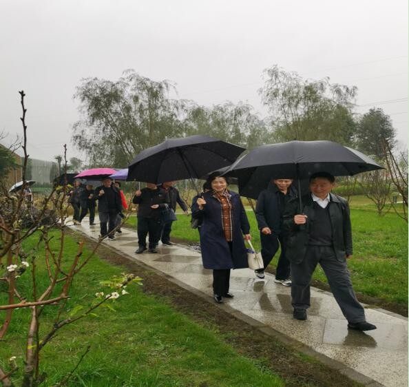 農(nóng)博搭臺為引領(lǐng) 科技人才創(chuàng)實效&mdash;&mdash;王宗全一行赴新津區(qū)調(diào)研指導(dǎo)老科協(xié)工作