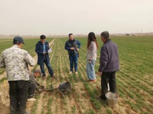 黨建引領，工農事企互補，助推科技  服務農業發展