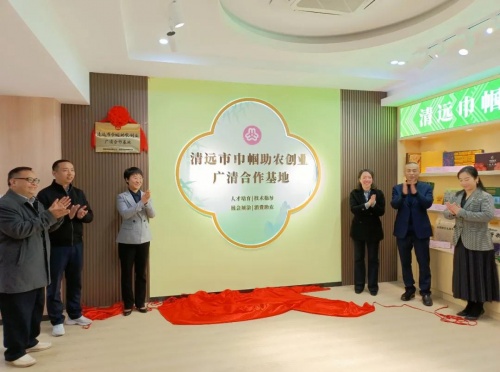 巾幗發(fā)力！清遠(yuǎn)市&ldquo;鄉(xiāng)村振興巾幗行動(dòng)&rdquo;號(hào)角再起！