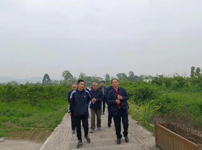 落實兩會精神 助力鄉村振興&mdash;&mdash;龍泉驛區老科協到科技助農示范點調研