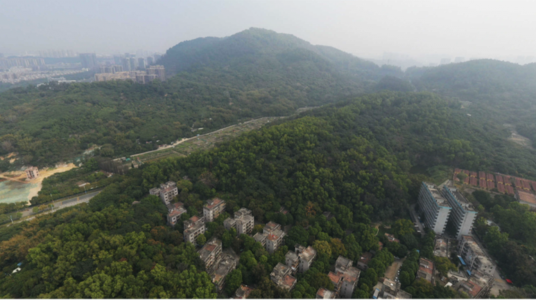 喜報丨深耕南沙，再添新秀