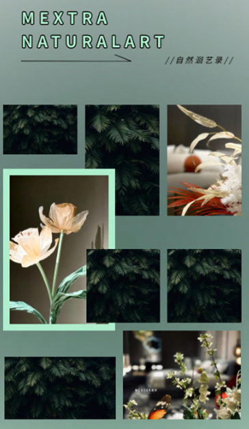 MEXTRA X CIFF探洄自然感官的向上表達，憩賞未來人居的自然基因