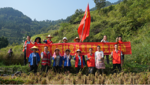 發揮基層組織戰斗堡壘作用，構建生產服務主力軍