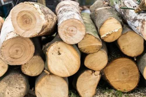 低碳生活 引領(lǐng)環(huán)保風(fēng)尚&mdash;千年舟用&ldquo;綠色點亮中國&rdquo;  環(huán)保行動盛大開啟