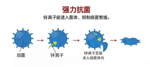 打造綠色健康的家居環(huán)境，首選澳思柏恩鋅效抗菌板