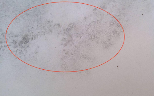 美巢易呱平膩子粉，耐水防潮更高環保，拒絕墻面潮濕發霉