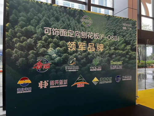 喜報丨澳思柏恩榮獲可飾面定向刨花板領軍品牌！