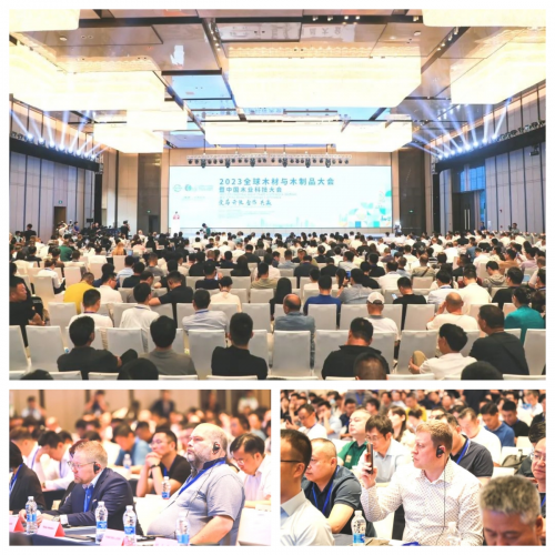 喜訊丨千年舟斬獲「科技人物創新獎」「科技進步一等獎」雙獎殊榮