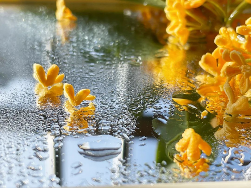 千年舟鋅效抗菌2.0系列健康板材，以超硬核實力守衛家居健康