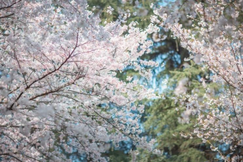 美涂士：墻面發霉怎么辦？真凈味幫你一招搞定！