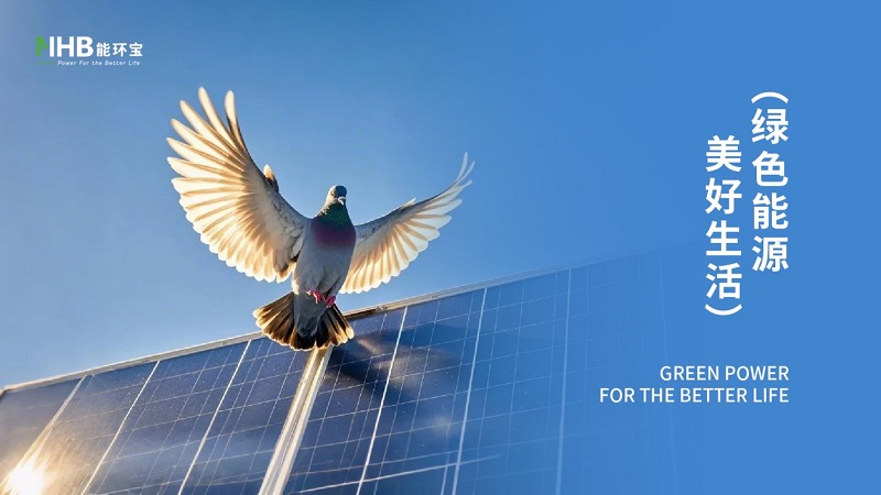 能環(huán)寶斬獲多項(xiàng)行業(yè)權(quán)威獎(jiǎng)項(xiàng)，彰顯分布式光伏專業(yè)實(shí)力
