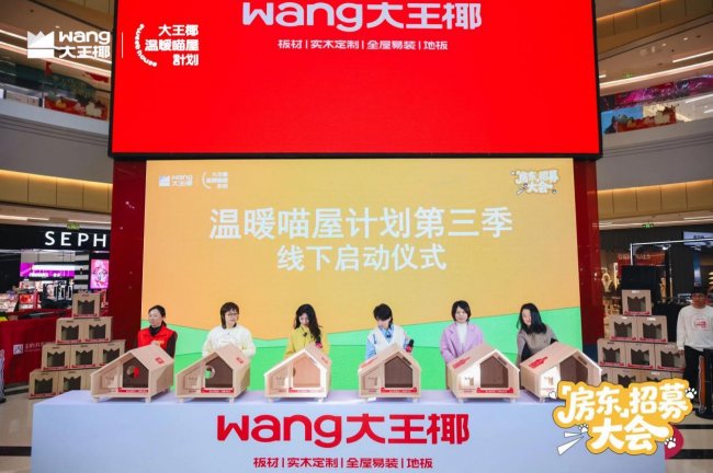 12800個實木貓屋的溫暖答案 大王椰公益 IP 的長期主義