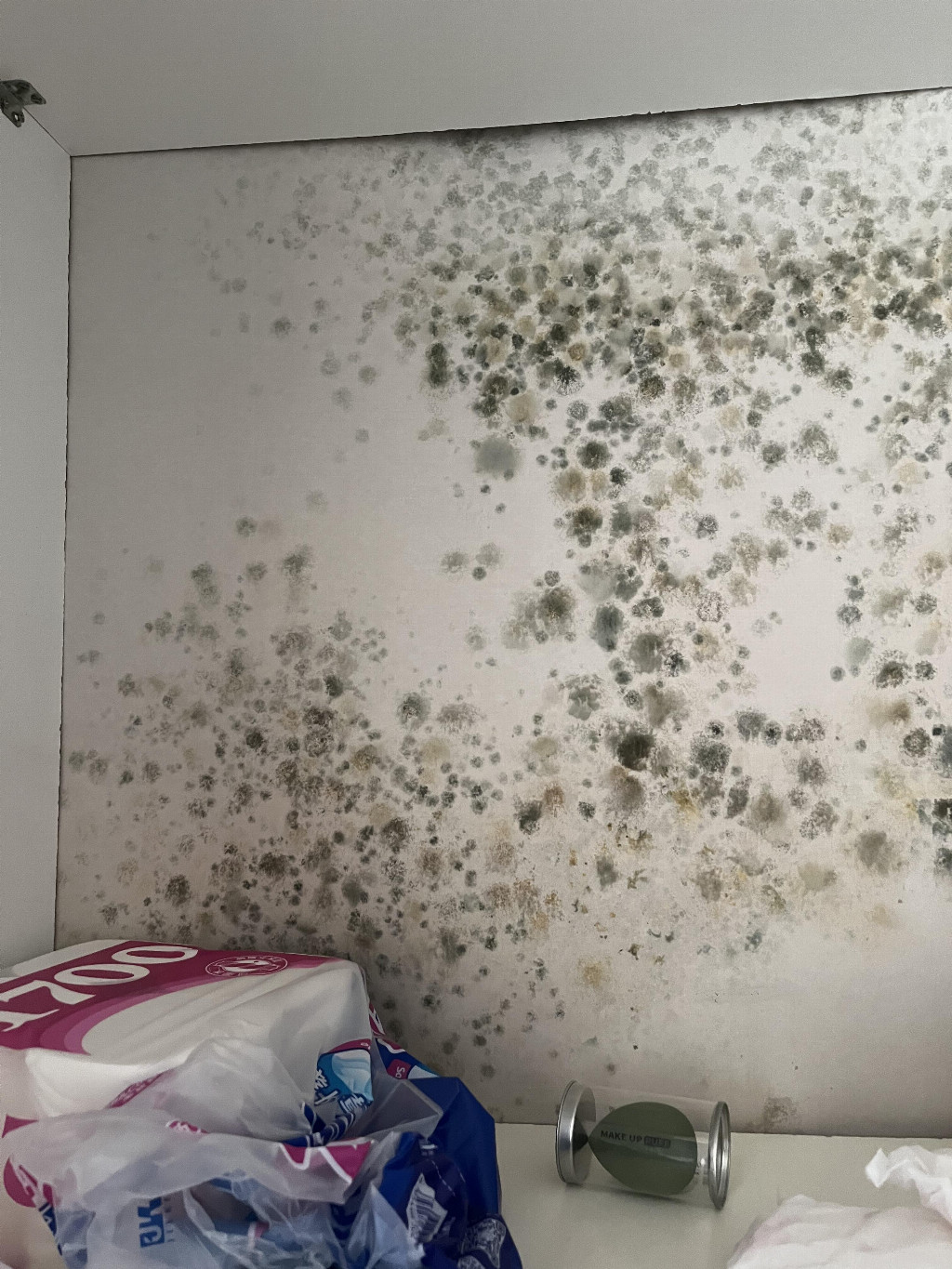 兒童級健康膩子創(chuàng)導者，卓瑪解鎖「健康家居」新定義