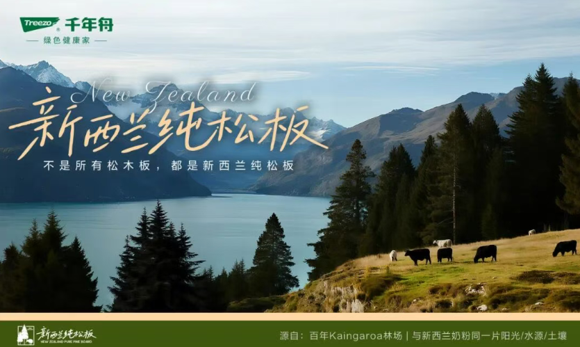 家的松弛感，從一張無需操心的「新西蘭純松板」開始