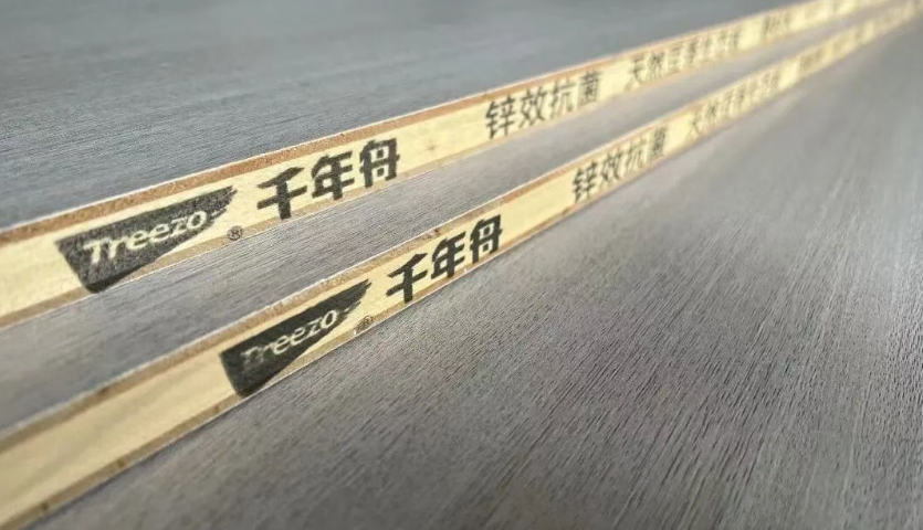 千年舟全新「防偽指南」來(lái)襲，教你快速辨真假