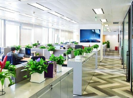 杉和集團(tuán)分享你如何從零開始注冊香港公司